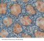 Dipeptidyl Peptidase 3 (DPP3) Antibody