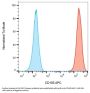 Endoglin / CD105 (ENG) Antibody (APC)