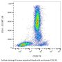 Fc Fragment of IgG, Low Affinity IIa, Receptor / CD32 (FCGR2A) Antibody (PE)