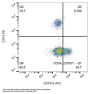 Lysosome-Associated Membrane Glycoprotein 1 (LAMP1) Antibody (APC)