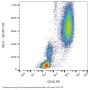 Neprilysin / NEP (MME) Antibody (PE)