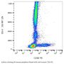 Neural Cell Adhesion Molecule 1 / CD56 (NCAM1) Antibody (PE)
