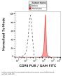 4F2 Cell-Surface Antigen Heavy Chain (SLC3A2) Antibody