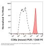 T-Cell Surface Glycoprotein CD8 Alpha Chain (CD8A) Antibody