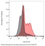 C-C Chemokine Receptor Type 7 (CCR7) Antibody (PE)