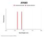 Goat Anti-Human IgG H&L Antibody (AF660)