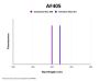 Rabbit Anti-Dog IgG H&L Antibody (AF405)