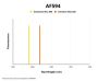 Mouse Anti-Human IgG Fc Antibody (AF594)