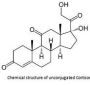 Cortisone (BSA)