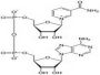 Nicotinamide Adenine Dinucleotide (OVA)