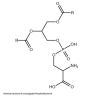 Phosphatidylserine (BSA)