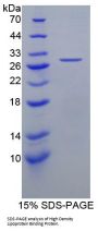 Human High Density Lipoprotein Binding Protein (HDLBP) Protein