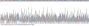 Rabbit Galectin 3 (LGALS3) Protein