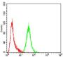 P2Y Purinoceptor 13 (P2RY13) Antibody