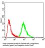 DNA Excision Repair Protein ERCC-1 (ERCC1) Antibody