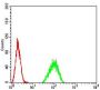 Paired Box Protein Pax-6 (PAX6) Antibody