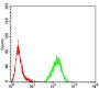 Methyl-CpG-Binding Protein 2 (MECP2) Antibody