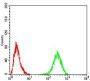 Tyrosine Hydroxylase (TH) Antibody