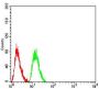 RAC-Alpha Serine/threonine-Protein Kinase (AKT1) Antibody