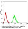 Beta-2 Adrenergic Receptor (ADRB2) Antibody