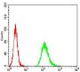 Neurofilament Medium Polypeptide (NEFM) Antibody