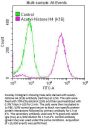 Histone H4 Acetyl-Lys16 (H4 AcK16) Antibody