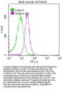 Histone H4 Antibody