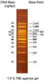 0.1-3 kbp DNA marker (Fluorescent)