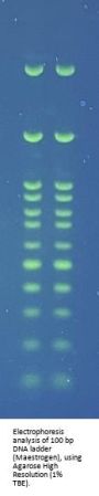 Agarose High Resolution
