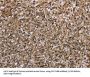 Myosin XVIIIB (MYO18B) Antibody