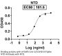 SARS-CoV-2 Spike Protein NTD Antibody