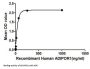 Human Adiponectin Receptor 1 (ADIPOR1) Protein (Active)
