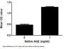 Cow Advanced Glycation End Product (AGE) Protein (Active)