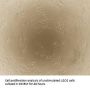 Rat Parathyroid Hormone (PTH) Protein (Active)