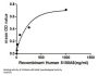Human S100 Calcium Binding Protein A6 (S100A6) Protein (Active)