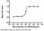 Rat Vascular Endothelial Growth Factor A (VEGFA) Protein (Active)