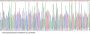 Mouse Interleukin 10 (IL10) Protein