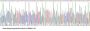 Rabbit Interleukin 10 (IL10) Protein