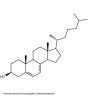 7-Dehydrocholesterol (7-DHC) (BSA)