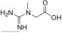 Creatine (Cr) Peptide (OVA)