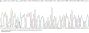 Human Fibroblast Growth Factor 8 (FGF8) Protein