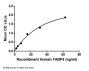 Human Fatty Acid Binding Protein 4, Adipocyte (FABP4) Protein (Active)
