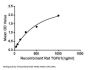 Rat Transforming Growth Factor Beta 1 (TGFb1) Protein (Active)
