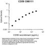 Anti-CD59 (glycoprotein) Antibody