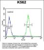 FBXW12 Antibody (C-term)