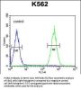 PURG Antibody (C-term)