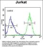 PRRG3 Antibody (Center)