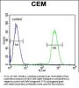 NFKBIL1 Antibody (Center)