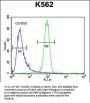 MCHR1 Antibody (C-term)