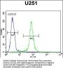 CCDC9 Antibody  (N-term)